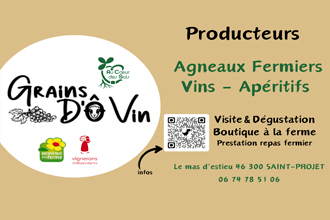 GRAINS d'Ô VIN